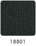 18801