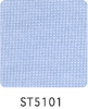 ST5101