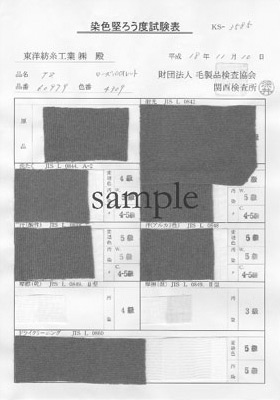 染色堅ろう度試験表